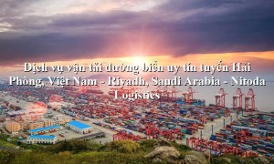 Dịch vụ vận tải giá rẻ từ Hải Phòng, Việt Nam - Riyadh, Saudi Arabia