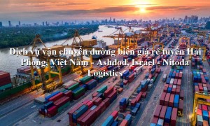 Dịch vụ vận chuyển hàng hóa từ Hải Phòng, Việt Nam đến Ashdod, Israel