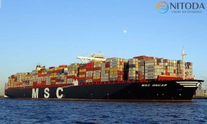 Hãng tàu MSC – Mediterranean Shipping Company