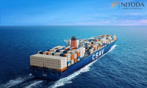 Hãng tàu CSAV - Chilean Shipping Company