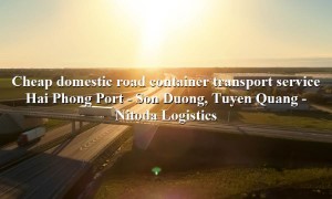 Prestigious shipping service Hai Phong Port - Son Duong, Tuyen Quang