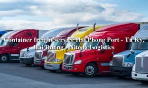 Cheap container shipping service from Hai Phong Port - Tu Ky, Hai Duong