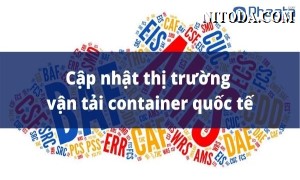 Cập nhật thị trường vận chuyển và logistics quốc tế Tuần 28-2022