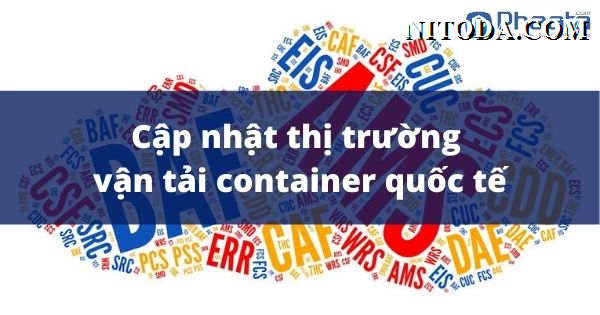 Thị trường vận chuyển quốc tế