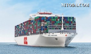 OOCL tăng trưởng mạnh doanh thu nhưng sản lượng giảm trong nửa đầu năm 2022