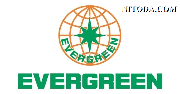 logo-hang-tau-container-Evergreen-line