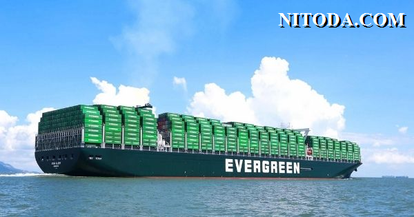 tau-container-hang-tau-EVERGREEN-line