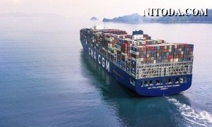 Các hãng tàu container tạm ngừng dịch vụ vận chuyển đến và từ Nga