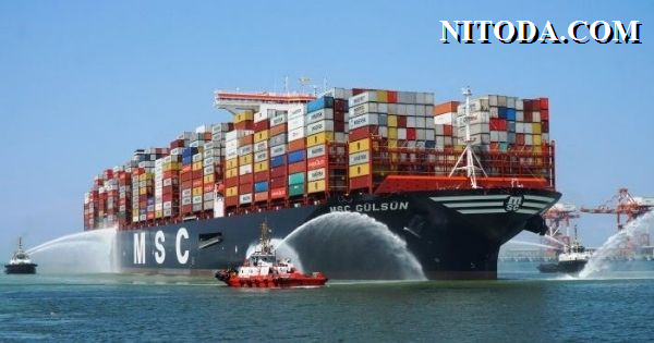 hang-tau-MSC-container-line