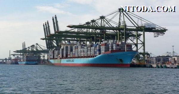 hang-tau-container-Maersk-line