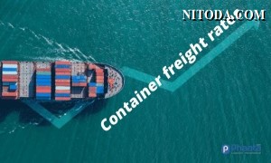 Giá cước vận chuyển container tiếp tục tăng cao