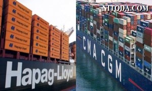 Chủ hàng hy vọng có thêm nhiều hãng tàu khác tiếp nối CMA-CGM và Hapag-Lloyd đóng băng giá cước 