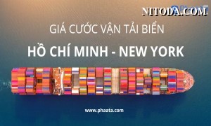 Giá cước vận tải biển từ Hồ Chí Minh đi New York mới nhất