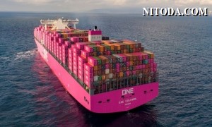 Giá cước của các hợp đồng vận tải container dự kiến tăng cao trong năm 2022