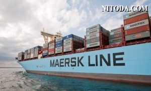 Maersk chuẩn bị tạm ngừng nhận đặt chỗ vận chuyển đến và từ Nga