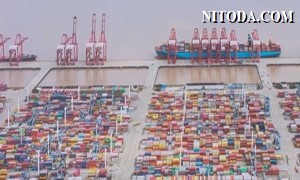 Bến cảng Ningbo Meishan bị đóng cửa, tàu container chuyển hướng đến các khu vực xung quanh 