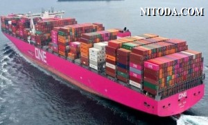 Bồi thường bảo hiểm từ vụ sập container trên tàu ONE Apus lên tới 50 triệu USD