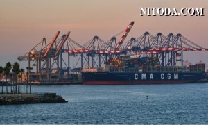 CMA CGM nhận thấy nhu cầu vận chuyển phục hồi mạnh mẽ trong quý 4