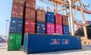 FMC điều tra hãng tàu Wan Hai về phí lưu container