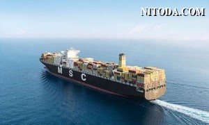 MSC ra mắt dịch vụ mới kết nối Trung Quốc, Hàn Quốc với Đông Nam Á