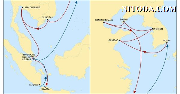 Dịch vụ Pertiwi - MSC