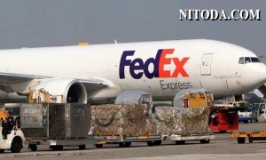 FedEx dự báo công suất vận chuyển hàng không sẽ tiếp tục thiếu hụt trong năm 2022