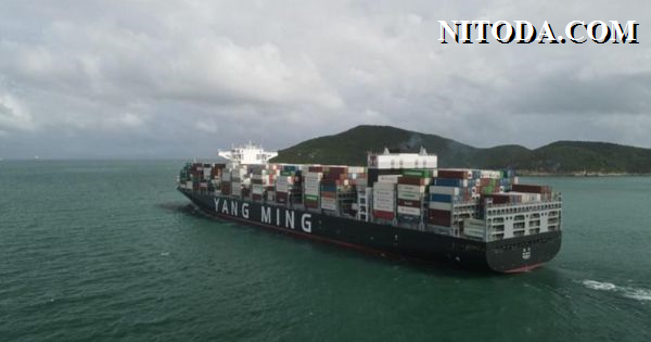 Tàu container hãng tàu Yang Ming