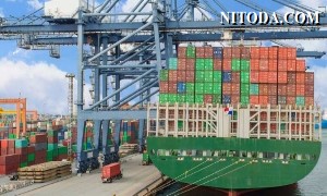 Bến cảng container hàng đầu ở Nhava Sheva (Ấn Độ) bị tấn công mạng