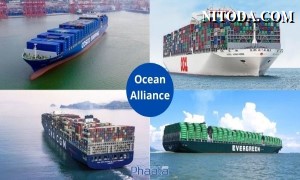 Ocean Alliance công bố nâng cấp mạng lưới dịch vụ vận chuyển toàn cầu