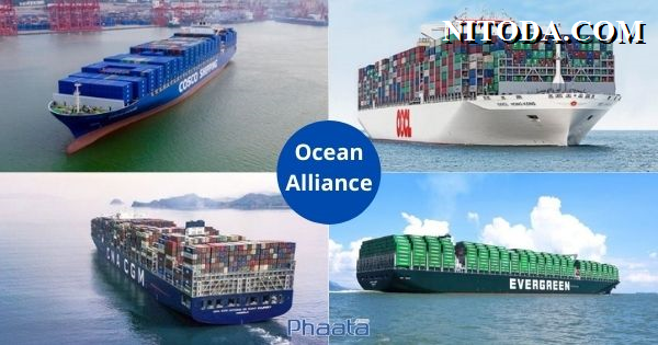 Ocean Alliance