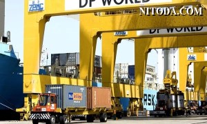 DP World vượt 59 triệu TEU trong 9 tháng đầu năm 2022