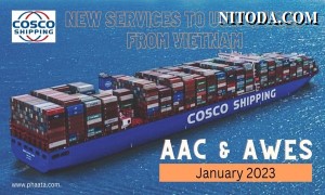 COSCO SHIPPING triển khai hai dịch vụ trực tiếp mới từ Việt Nam đi Mỹ trong tháng 1