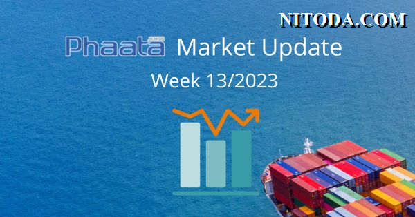 Nitoda-Market-Update-Week-13