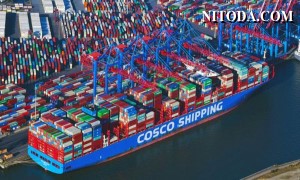 COSCO SHIPPING Ports khai thác đạt sản lượng trên 130 triệu TEU trong năm 2022