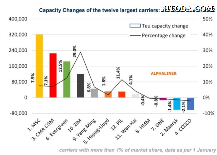 MSC, CMA CGM, Evergreen và ZIM tăng trưởng mạnh nhất trong năm 2022