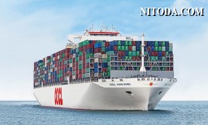 OOCL: Sản lượng container giảm nhưng lợi nhuận tăng mạnh trong năm 2022