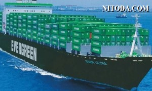 Evergreen tiếp tục chi tiền mua thêm số lượng lớn container