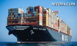 Đội tàu container MSC đạt công suất 5 triệu TEU trong tháng 5 năm 2023