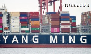 Lợi nhuận của Yang Ming vượt 110 triệu USD trong quý 1 năm 2023