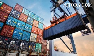 Global Freight Monitor: Hy vọng khả năng phục hồi nhu cầu hàng hóa trong nửa cuối năm