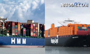 Liệu Hapag-Lloyd có sẵn sàng để mua HMM?