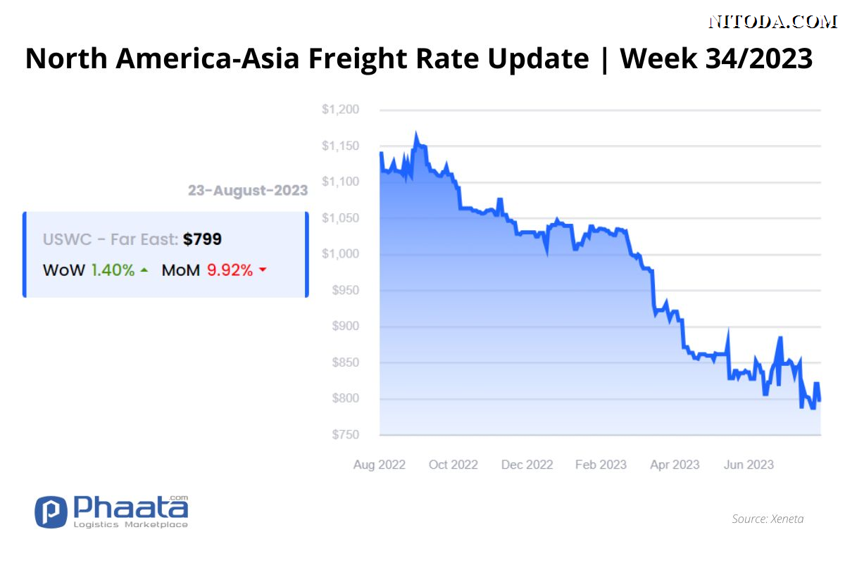 Giá cước vận chuyển Bắc Mỹ -Châu Á | Tuần 34/2023