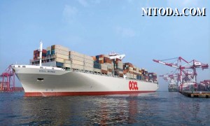 Doanh thu của OOCL giảm 63% trong quý 2