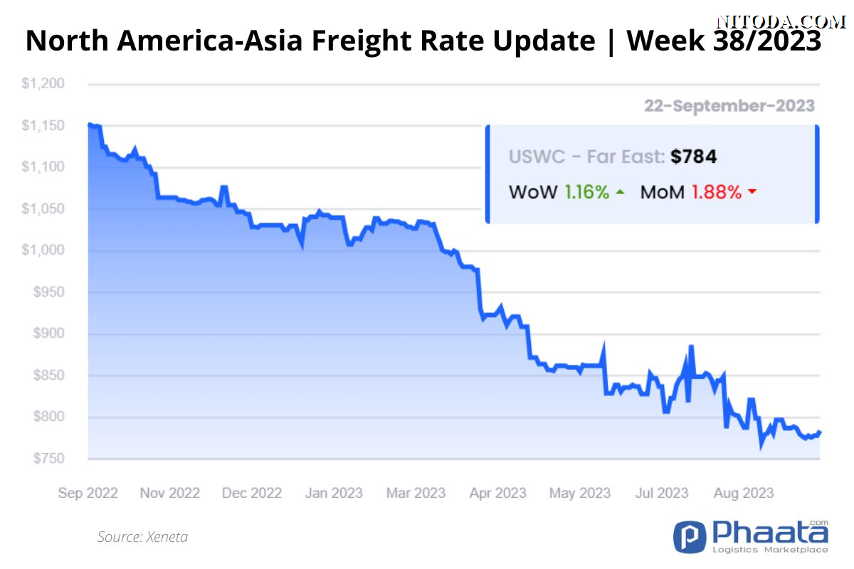 Giá cước vận chuyển Bắc Mỹ -Châu Á | Tuần 38/2023