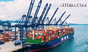 Tiến trình khử cacbon đẩy số lượng đơn đặt hàng tàu container tăng cao